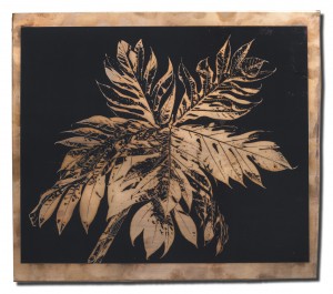 Palms 1