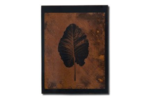 leaf4_tmb
